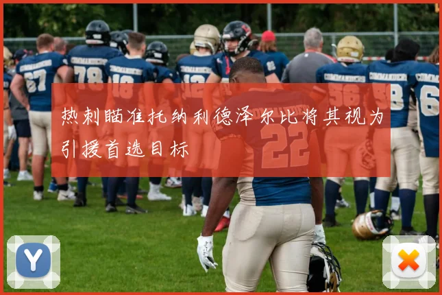 热刺瞄准托纳利德泽尔比将其视为引援首选目标