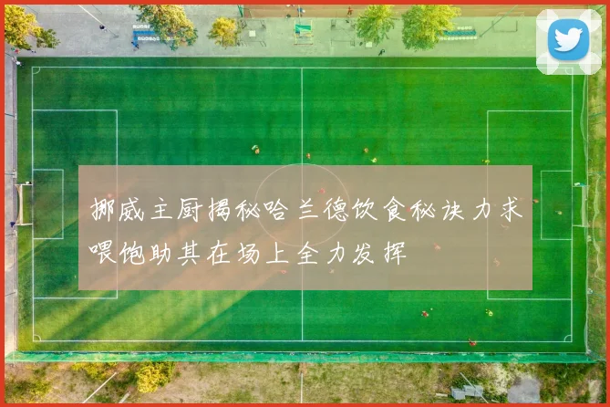 挪威主厨揭秘哈兰德饮食秘诀力求喂饱助其在场上全力发挥